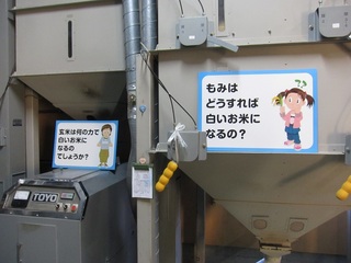 IMG_4621.JPG