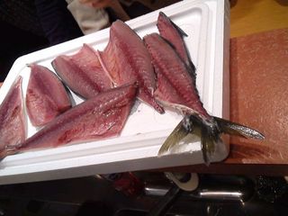 mini_141116_1010.jpg
